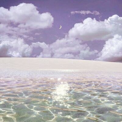 IM体育官方网站截图